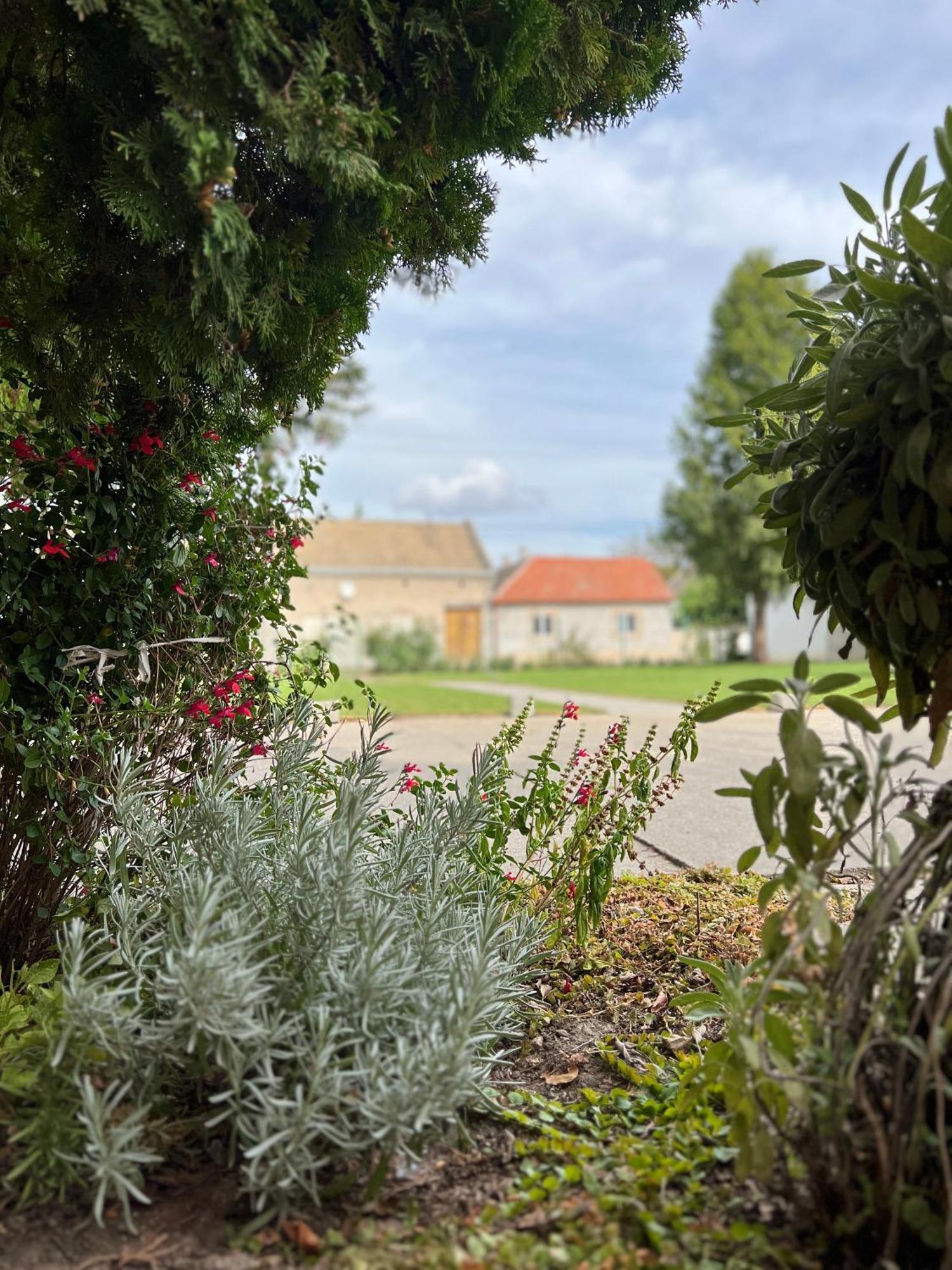 Bezdan Guesthouse Eksteriør bilde