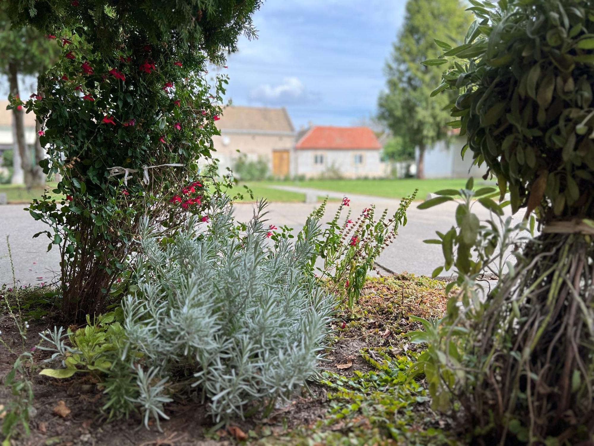 Bezdan Guesthouse Eksteriør bilde